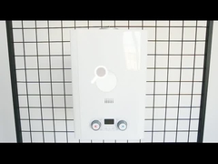 de verwarmer van het gaswater