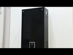 10L 2,6 GPM Waterverwarmer Zwart coating panel LPG NG Gastype