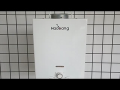 10L 2,6 GPM Waterverwarmer Zwart coating panel LPG NG Gastype