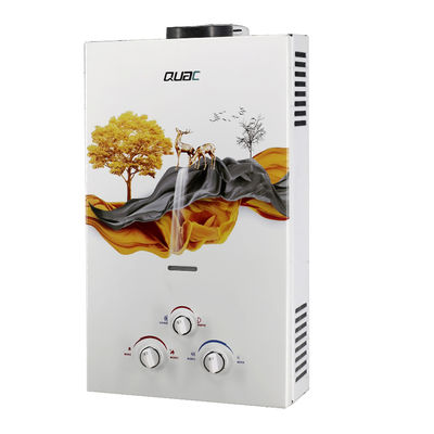 Performance Flue Exhaust Gas Water Heater Type White 10L 20KW