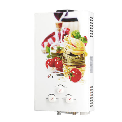 Energy Saving Balanced Flue Gas Water Heater with Controller Ignition