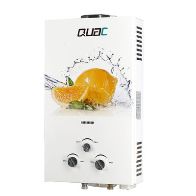 Flue Exhaust Type 12V Bathroom Kitchen Tankless Gas Water Heater