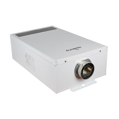 Balanced Flue Gas Water Heater Gas Water Heater for Energy Conservation and Pollution Reduction