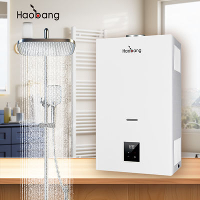 80°C Thermostat Settings Flue Gas Water Heater with Silk Screen Printing Logo and 1% Free Spare Parts