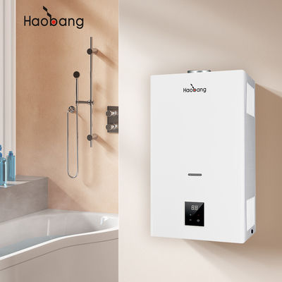 Energy-Saving LPG Gas Water Heater with Constant Temperature White Panel Color