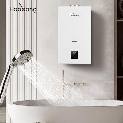 Energy-Saving LPG Gas Water Heater with Constant Temperature White Panel Color
