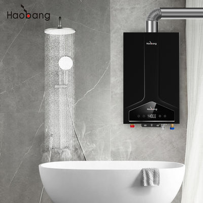 Balanced Flue Water Heater Lower Inlet And Upper Inlet 110V-220V with Cold Plate Front Panel and Electrical Voltage