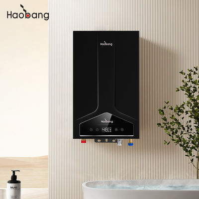 Balanced Flue Water Heater Lower Inlet And Upper Inlet 110V-220V with Cold Plate Front Panel and Electrical Voltage