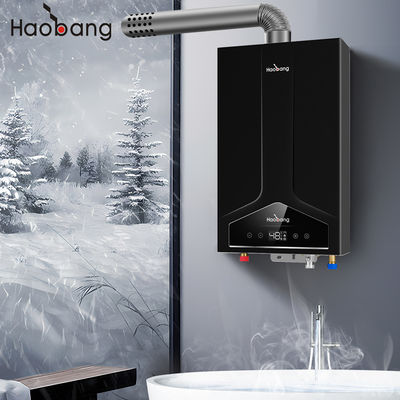 Balanced Flue Water Heater Lower Inlet And Upper Inlet 110V-220V with Cold Plate Front Panel and Electrical Voltage