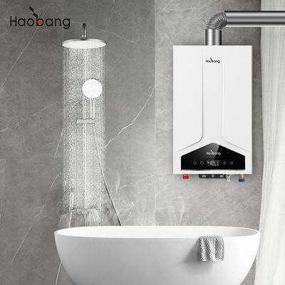 Lower Inlet And Upper Inlet Water Outlet Method Balanced Flue Gas Water Heater with Customization Configuration