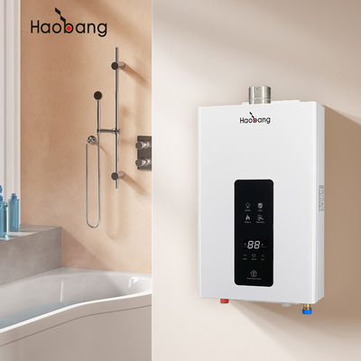 Household Forced Exhaust Gas Water Heater With Gas Pressure NG 2000Pa Exhaust Way Forced Exhaust