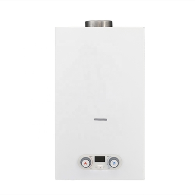 20L Flue Type Tankless Gas Water Heater LPG NG Wall Mounted