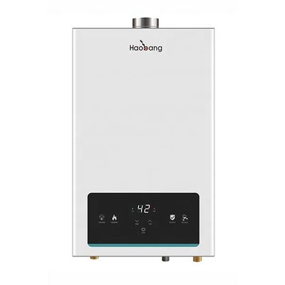 Wall-mounted Balance Flue Gas Water Heater with Electronic Ignition for Household Use