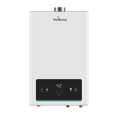 10L tankloze gaswaterverwarmer binnenshuis Instant douche gedwongen uitlaattype