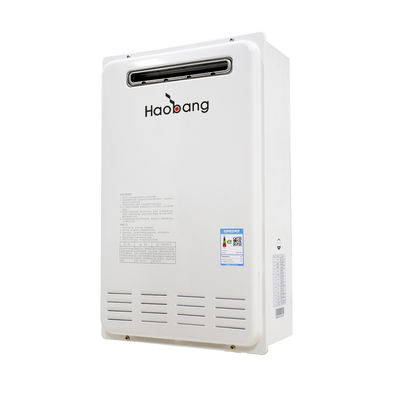 Gasapparaat Waterverwarmer 110-220V Camping RV Buitengebruik Wit