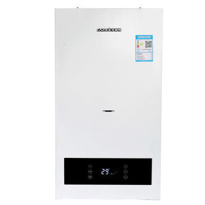 Gezinsgebruik Warmwater gasketels voor huisverwarming Woonkamer Wit 20KW