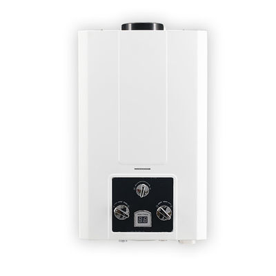 10L Instant Gas Geyser Waterverwarmer 2.64GPM LPG NG Gastype