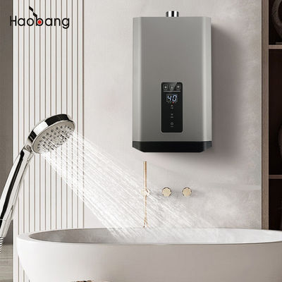 Goedkope gedwongen uitlaatgas waterverwarmer Homeland Functie G1/2'' Gasinlaat 220V / 110V